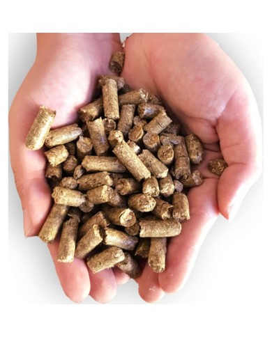 Paglia Pellet 40kg